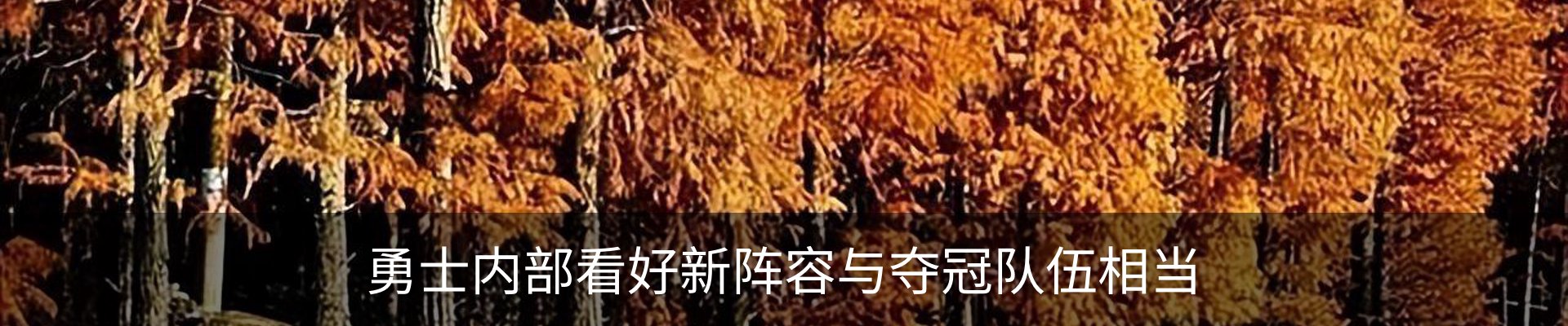 最新动态